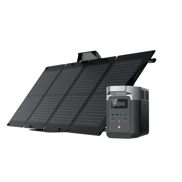 EcoFlow DELTA 2 + 2* 110W Portable Solar Panel