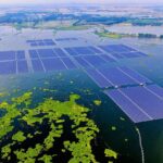 How Do Solar Farms Work?