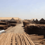 Solar Humanitarian Work
